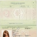 Fabi Dorcas H1688792