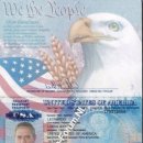 Lucas Jeffery Leonardo 179312456