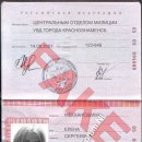 Elena Sergejevna Mekchanoschina 05 03 894889