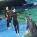 68_life_happiness2011