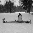 95_life_happiness2011