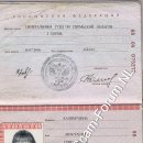 Anastasiya Grigorjewna Kalimulina 88 04 075275