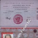 Olga Michailovna Komina 88 10 044629