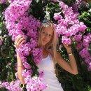 37_svetik_finefloret