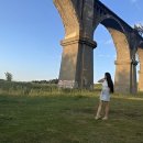 109_veronika33blinova