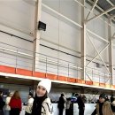 99_veronika33blinova