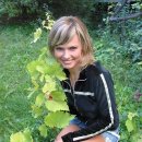 02_bright.stars.summer.sky