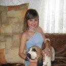 20_bright.stars.summer.sky