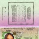 Elvira Kristel Azaula TT0542109