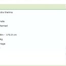 Profile_stella.oneil_24