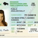 Analian Kally 794026819